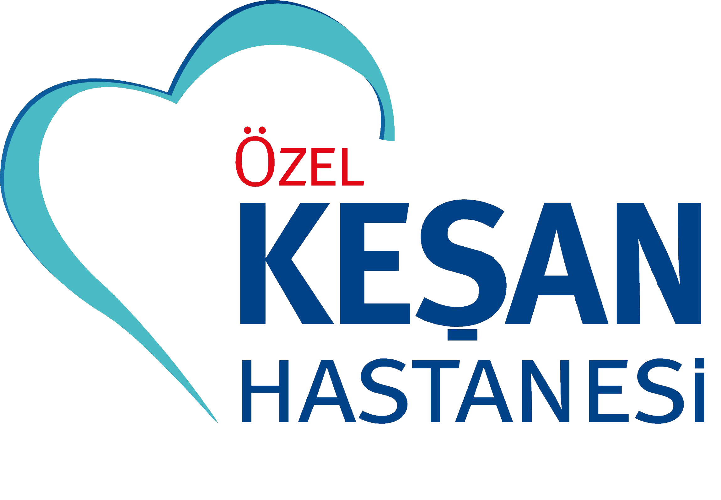 netgsm-logo